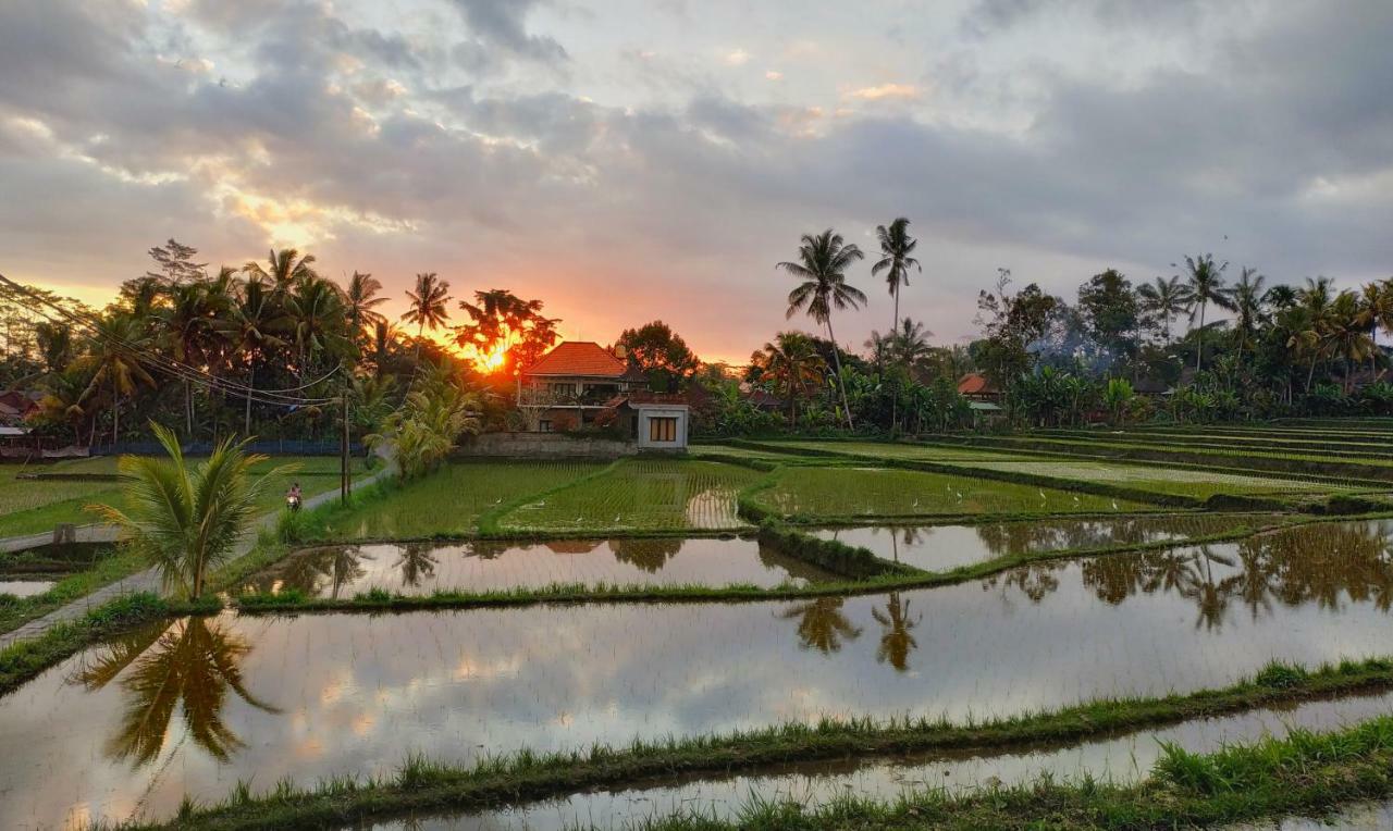 Umah Bali Villa Ubud Eksteriør bilde