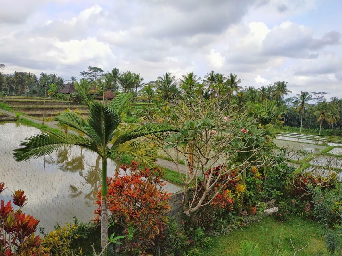 Umah Bali Villa Ubud Eksteriør bilde